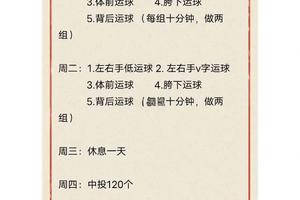 专业篮球球员的日常训练安排:揭秘高效训练策略